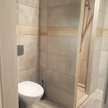 Apartment Apartament Rubin Lubin (Lower Silesia)
